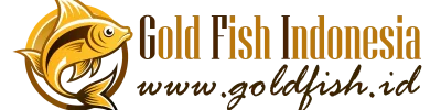 Logo GFI